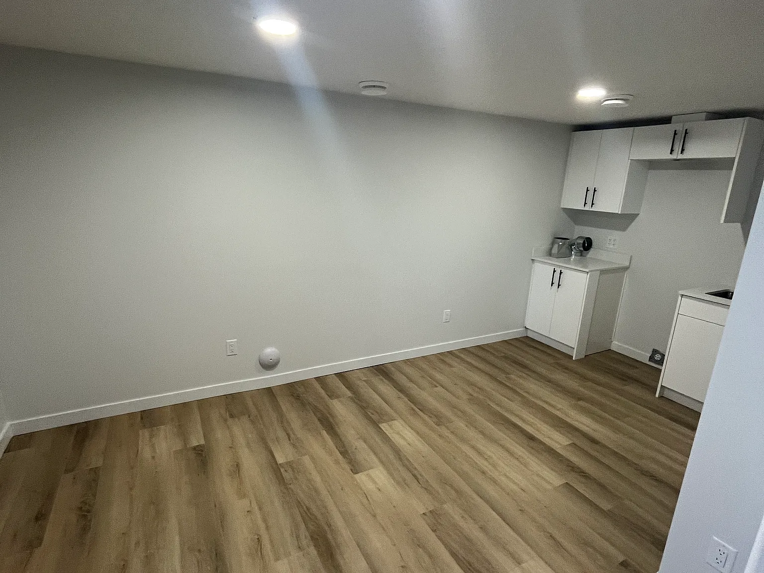 8636 181 Ave NW Basement — Photo 4