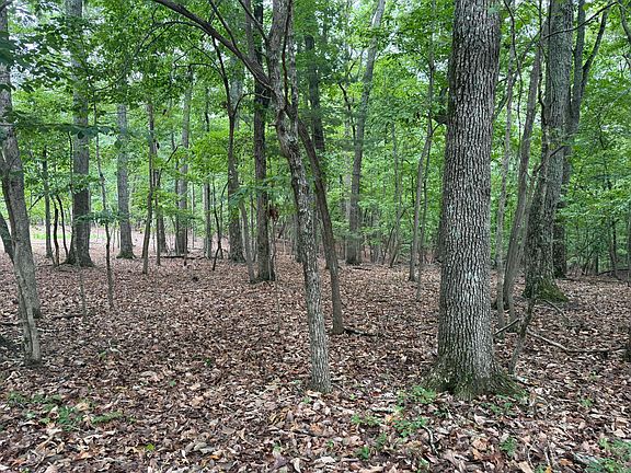 5th image of 19 Saunders Point Rd