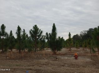 Lot 41 Stuarts Mill Road, Fairmont, NC 28340