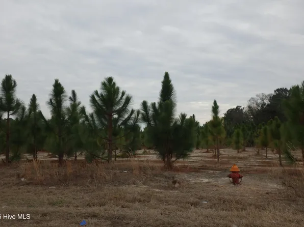 42 Stuarts Mill Rd, Fairmont, NC 28340