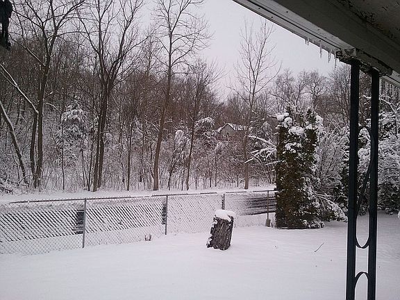 5th image of 1418 S Crown Dr