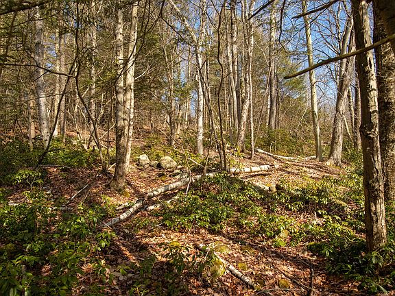 5th image of 115 Lyon Hill Rd