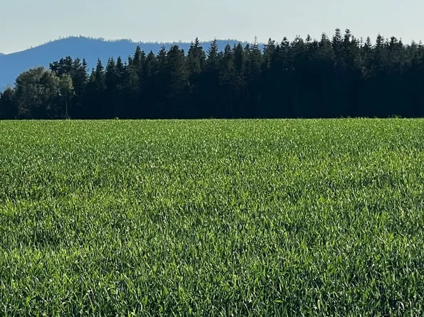 37 N Grove Rd, Deer Park, WA 99006