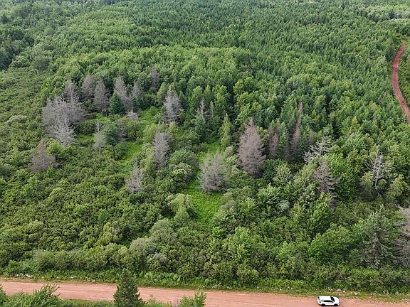 2nd image of Duvar Rd