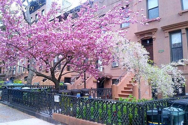 1st image of 15 2nd St #A