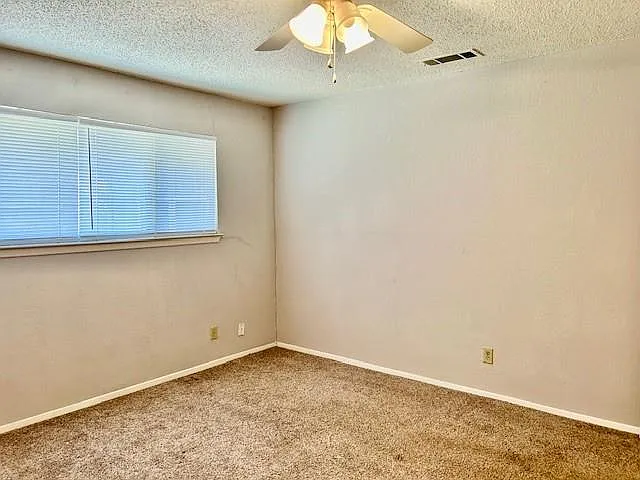 3413 Rocky Hollow Trl — Photo 24