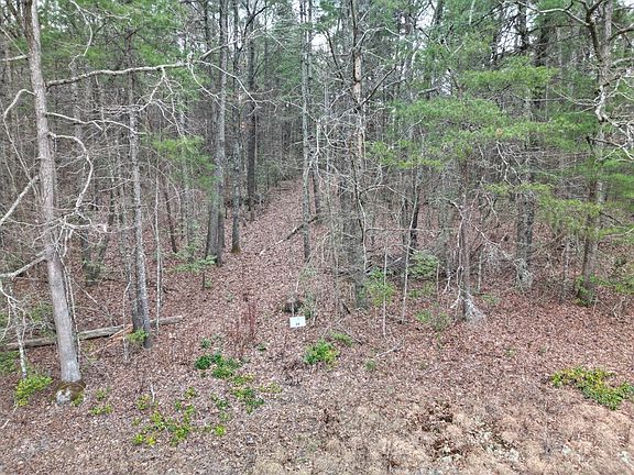 2nd image of 29 Liberty Rd