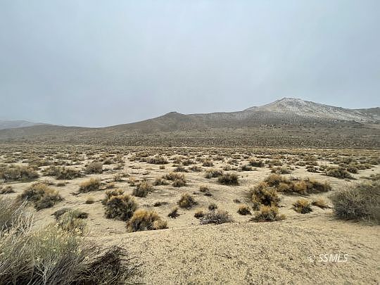 2nd image of Lena Ln