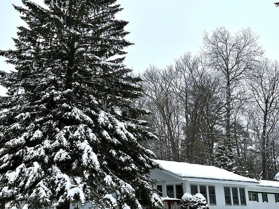 11070 Bellwood Dr Minocqua, WI, 54548 Apartments for Rent Zillow