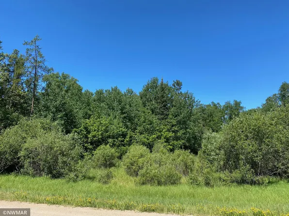 Grant Hills Rd SW, Bemidji, MN 56601