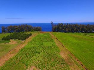 9 Beach Rd LOT 9, Pepeekeo, HI 96783