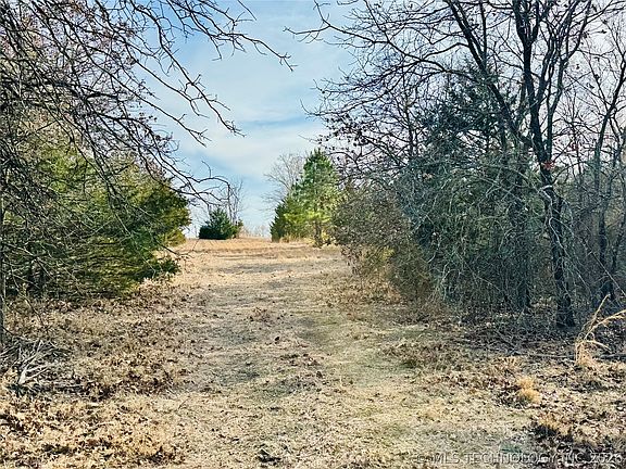 3rd image of County Road 3660