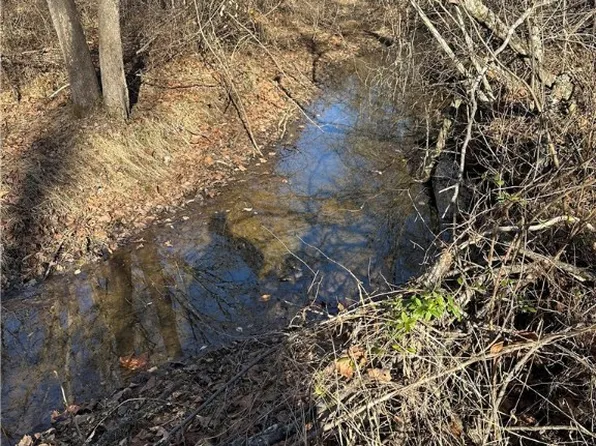 LOT 1 Secretarys Sand Rd Lot 1, Schuyler, VA 22969