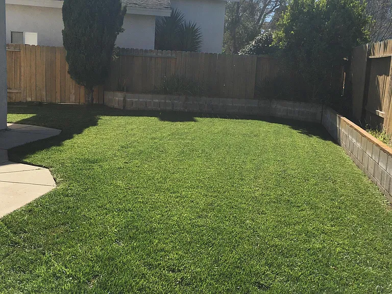 1321 Jodi Dr — Photo 10