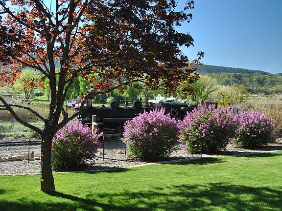 Narrow Gauge Train Going By

