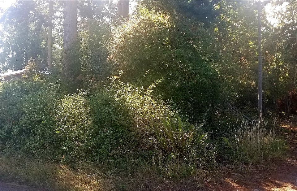 1st image of 88888 57th St