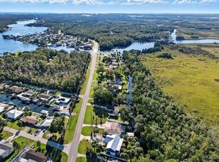 10039 W Halls River Rd, Homosassa, FL 34448