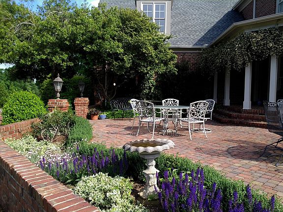 Patio Perennials 