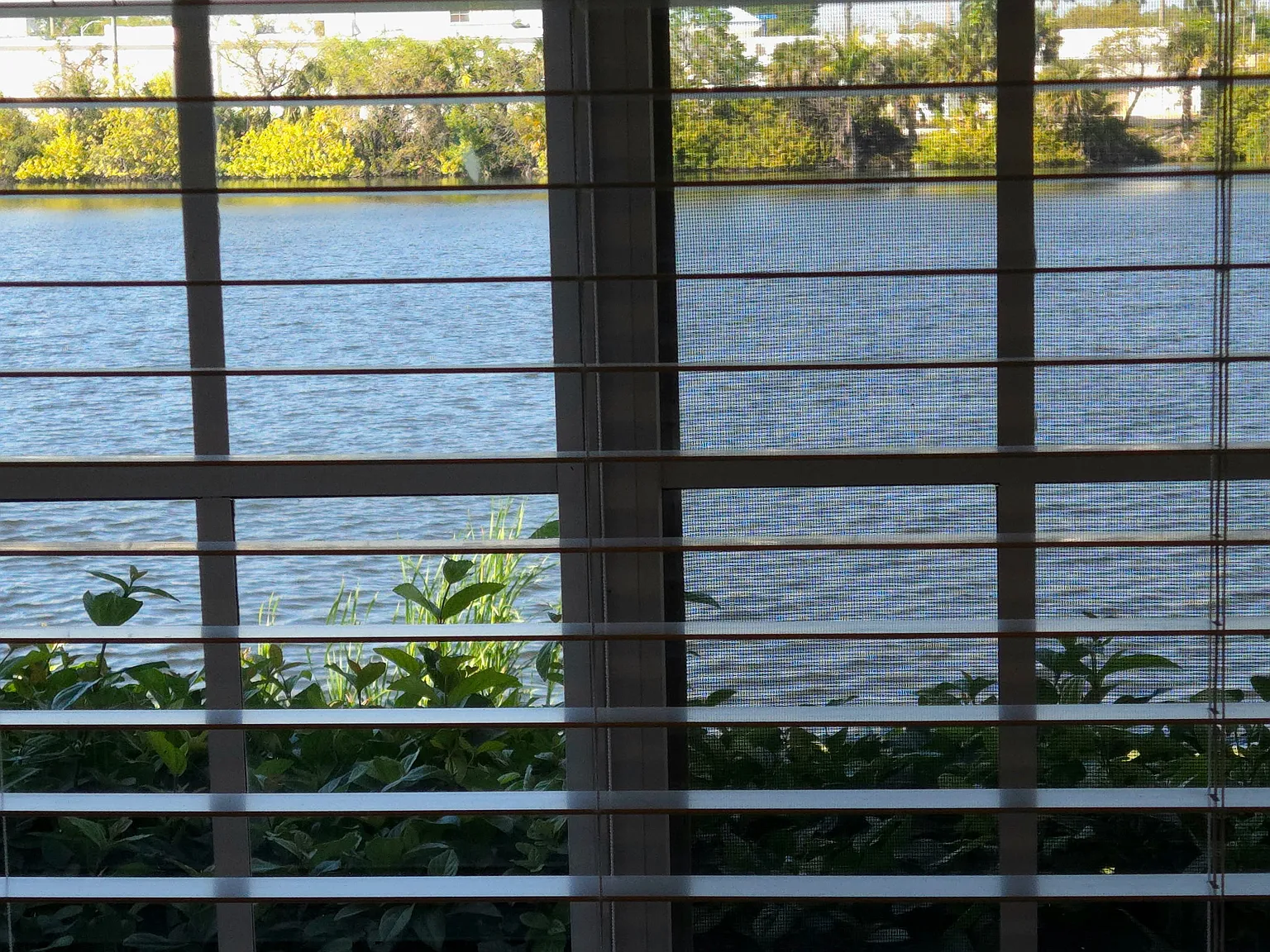 3 bed, 2.5 bath, 1200 sqft, $1,825 — Photo 4