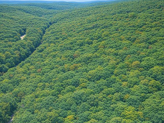 4th image of 169 Ridge Loop