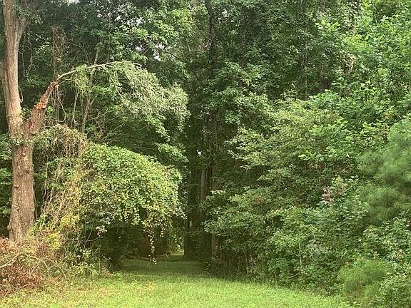 2nd image of 28.53 Ac Old Sanders Drive