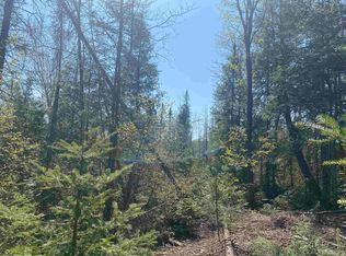 Off Dishno Rd, Champion, MI 49814