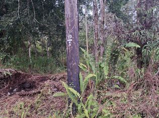 Pahoa Cir LOT 301, Pahoa, HI 96778