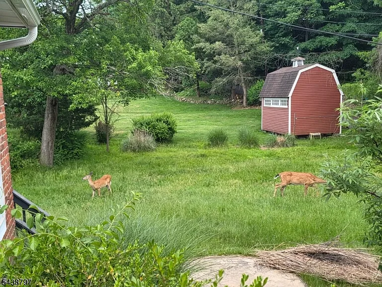 355 Rifle Camp Rd #2 — Photo 15