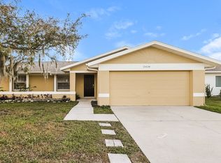 21634 Wytheville Way, Lutz, FL 33549