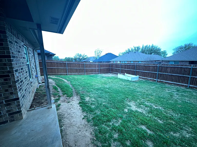 Back yard