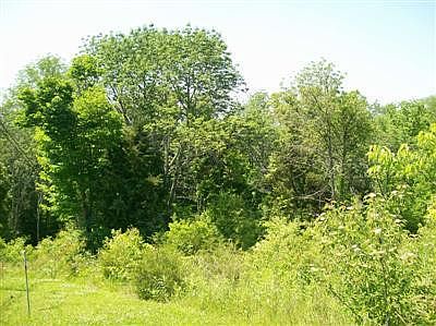 2nd image of 6950 N Us Highway 421 Bald Knob Court Rd #3