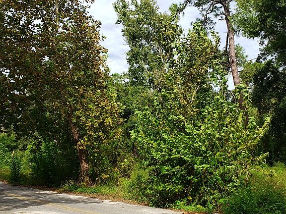 5th image of 0 Avenue D