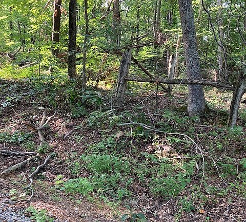 5th image of 550 Hill Orchard Cem Ln