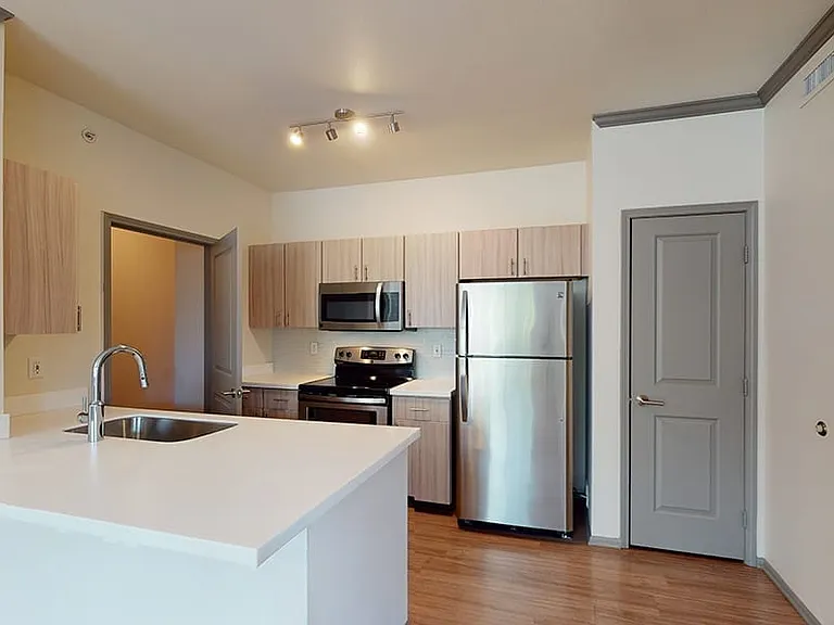 Apartment kitchen with stainless steel appliances, quartz countertops and wood-style flooring.