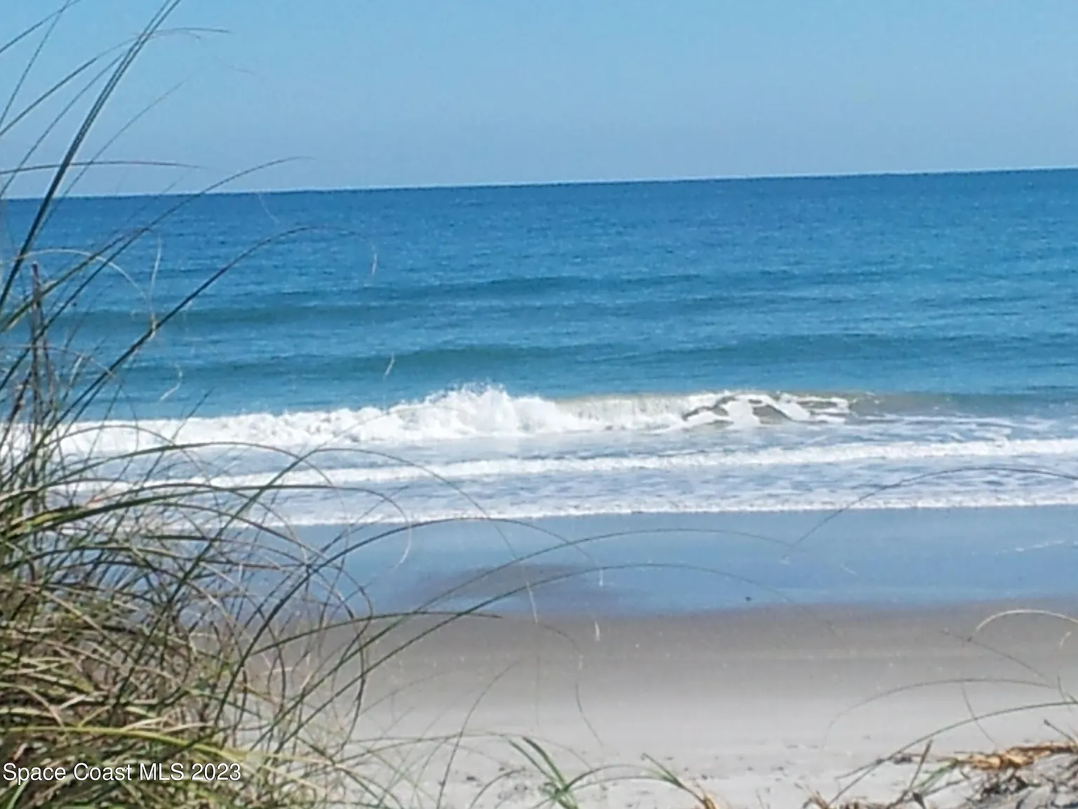 2 bed, 1.0 bath, 750 sqft, $2,000 — Photo 4