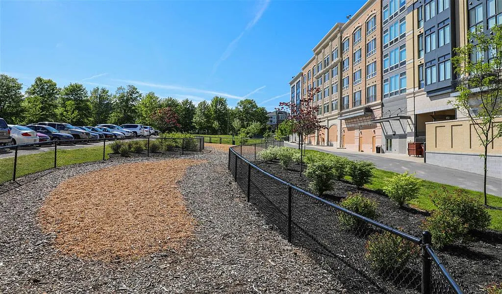 The Met at Metro Centre Apartments — Photo 4