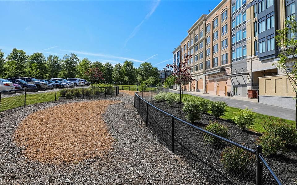 Dog Park Metro