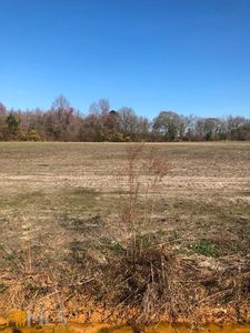 0 Sinkhole Rd, Register, GA, 30452