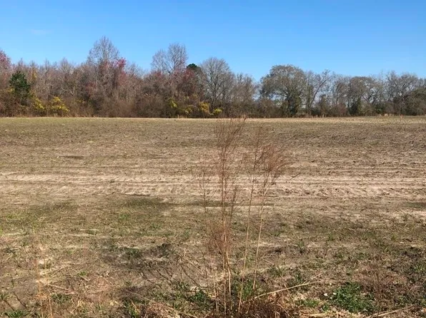 0 Sinkhole Rd, Register, GA 30452