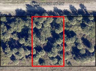 756 Parrotfish St SW, Palm Bay, FL 32908