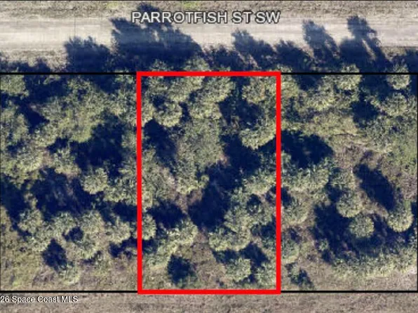 756 Parrotfish St SW, Palm Bay, FL 32908