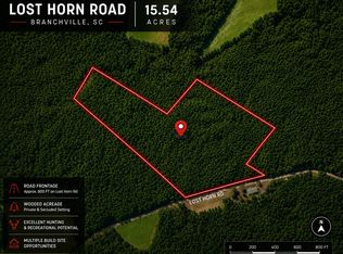 1 Lost Horn Rd, Branchville, SC 29432