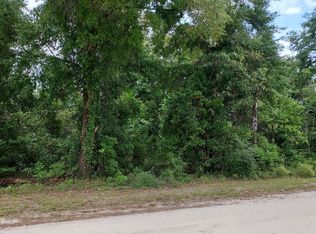 SW Texas Ln, Fort White, FL 32038