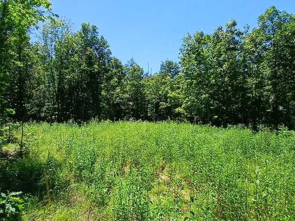 0 Easement, Annapolis, MO 63620