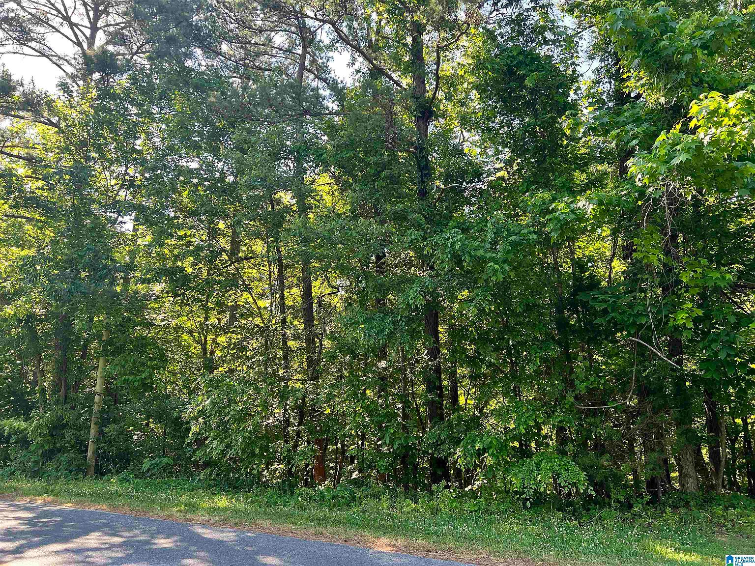 16016 Brickyard Rd 1, Sylacauga, AL 35150 Zillow