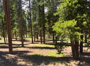 1668 Four Seasons Blvd, Leadville, CO 80461