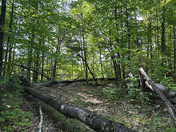 4th image of map12 lot4 Starks road Road