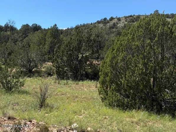 52714 N Calle Campo, Seligman, AZ 86337