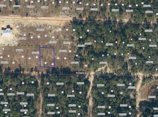 234 PORTLAND Street, Hawthorne, FL 32640