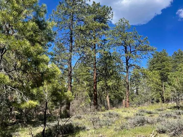 167 Justins Road, Pagosa Springs, CO 81147